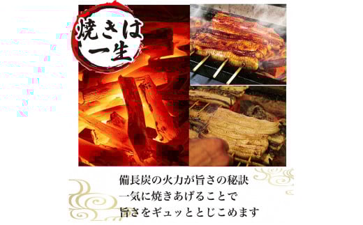 うなぎ蒲焼2人前（1人前約100g×2）贈答用パッケージ｜うなぎ 鰻 ウナギ 200グラム 国産 かば焼き 蒲焼き 蒲焼 うな重 ひつまぶし たれ 山椒 人気 おすすめ 取り寄せ お取り寄せ グルメ 惣菜 ギフト 贈答 贈り物 プレゼント お中元 お歳暮 御歳暮 茨城県 古河市 直送 店舗直送 送料無料 _AT01
