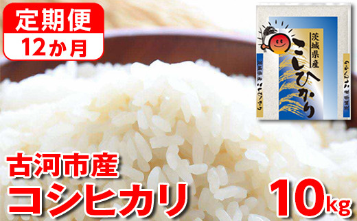 【定期便 12か月】令和7年産 古河市産コシヒカリ 10kg（5kg×2袋）｜米 コメ こめ ごはん ご飯 ゴハン 白飯 単一米 国産 コシヒカリ こしひかり 10kg 定期便 12ヶ月 12回 1年 茨城県 古河市_DP45