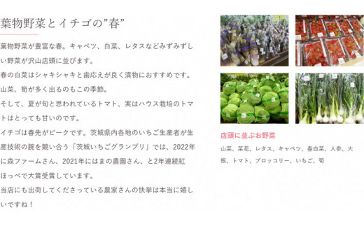 【定期便3か月】道の駅まくらがの里古河　季節の新鮮野菜おまかせAセット ※北海道・沖縄・離島への配送不可 |  野菜 おいしい 産地直送 新鮮 詰め合わせ 定期便 便利 簡単 手軽 やさい ヤサイ 茨城県 古河市 お楽しみ 野菜定期便 セット _BQ05