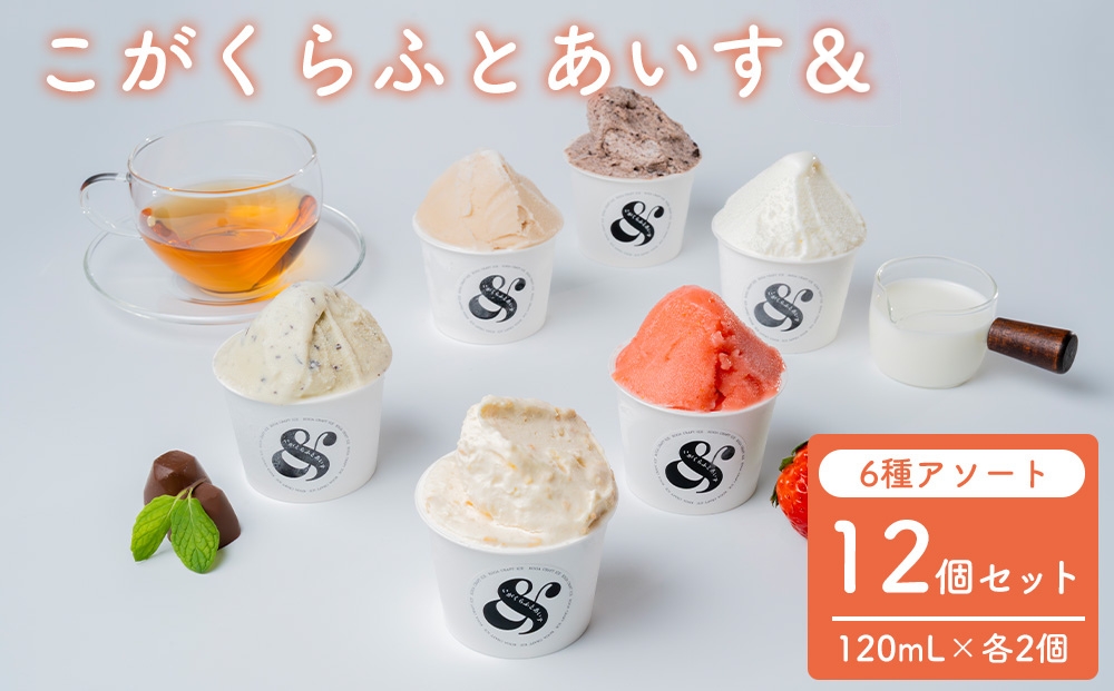 こがくらふとあいす＆ 12個セット（6種アソート） | ギフト アイス HARIO ハリオ YBC ヤマザキビスケット いちご 和紅茶 牛乳 チョコミント ノアール レモンパック デザート スイーツ 茨城県 古河市 送料無料 詰合せ セット _GI03