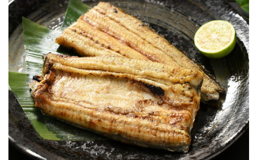 ããªã çç« ãã°çŒãã»çç« çœçŒãã»ãã ç¹äž å2人å åé·æšçäœ¿çš èèå¢ç°å®¶ | ããªã é°» ãŠãã® åœç£ ãã°çŒã è²çŒã è²çŒ çœçŒã ããªé ã²ã€ãŸã¶ã ãã å±±æ€ äººæ° é£ã¹ããã¹ é£ã¹æ¯ã¹ ã»ãã è©°ãåãã ãããã åãå¯ã ãåãå¯ã ã°ã«ã¡ æ£è ã®ãã èŽç èŽãç© ãã¬ãŒã³ã ãäžå
ãæ³æ® åŸ¡æ³æ® èšåç 倿²³åž çŽé åºèçŽé _ED12