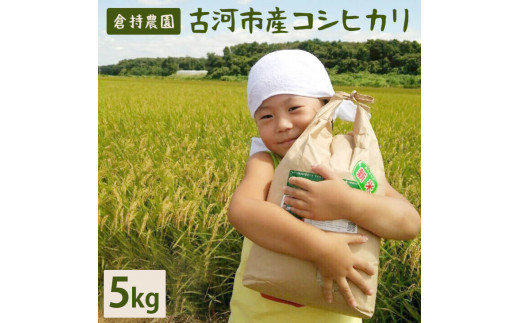 【令和7年産】【新米】古河市産　コシヒカリ5kg【倉持農園】 | 米 こめ コメ こしひかり コシヒカリ 5キロ 古河市産 茨城県産 贈答 贈り物 プレゼント 茨城県 古河市 直送 農家直送 産地直送 送料無料 _AN03 ※2025年11月上旬頃より順次発送予定