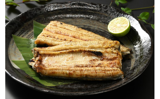 ããªã çç« çœçŒã ç¹äž 2人å åé·æšçäœ¿çš èèå¢ç°å®¶ | ããªã é°» ãŠãã® åœç£ çœçŒã ããªé ã²ã€ãŸã¶ã å±±æ€ äººæ° ãããã åãå¯ã ãåãå¯ã ã°ã«ã¡ æ£è ã®ãã èŽç èŽãç© ãã¬ãŒã³ã ãäžå
ãæ³æ® åŸ¡æ³æ® èšåç 倿²³åž çŽé åºèçŽé _ED08