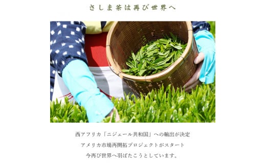 さしま茶ペットボトル１ケース（350ml 24本入り） | お茶 ペットボトル 350ml×24本 茶 緑茶 日本茶 猿島茶 さしま茶 飲み物 ドリンク 日常 まとめ 箱 ケース ギフト  贈答 贈り物 プレゼント お中元 お歳暮　 茨城県 古河市 送料無料 _CD01