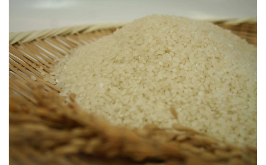 ã¹ããªã³ã°ã©ã€ã¹ ããã²ããã»ãã«ããŒã¯ã£ãŒã³ ãã¬ã³ã (çœç±³)5kg â»çæ¥æå®äžå¯ | ç±³ ãã ã³ã¡ 5ãã 粟米 çœç±³ ãã¬ã³ãç±³ ããã²ãã ã³ã·ãã«ãª ãã«ããŒã¯ã€ãŒã³ ã¿ãããŒãããŒã ãã¡ãã¡ å€æ²³åžç£ èšåçç£ åãå¯ã ãåãå¯ã ã®ãã èŽç èŽãç© ãã¬ãŒã³ã ãäžå
ãæ³æ® èšåç 倿²³åž çŽé 蟲家çŽé ç£å°çŽé éæç¡æ_BI27