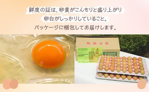 小久保ファーム　濃厚卵黄　産みたてたまご　赤玉80個入り（M玉）|  卵 80個 赤玉 玉子 たまご タマゴ 生卵 鶏卵 生みたて 産みたて 新鮮 濃厚 健康 TKG たまごかけごはん ご飯のお供 国産 ギフト 贈答 贈り物 お中元 お歳暮 プレゼント 茨城県 古河市 直送 農家直送 産地直送 送料無料 _EI03