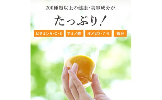 【定期便4カ月】サジー グアマラルサジー 1000ml　毎月1本4カ月コース｜サジージュース サジー シーベリー 沙棘 グアマラル 健康ドリンク 健康 美容 栄養 果汁 鉄分補給 栄養補給 健康食品 ギフト 贈答 贈り物 プレゼント お祝 ご褒美 記念日 記念品 お中元 お歳暮 _DX20