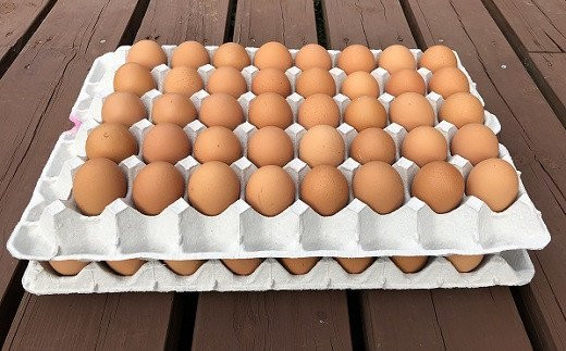 江原ファーム　体に優しい地養卵 ８０個 割れ補償 | 卵 80個 赤玉 玉子 たまご タマゴ 生卵 鶏卵 生みたて 産みたて 地養卵 新鮮 濃厚 健康 TKG たまごかけごはん ご飯のお供 国産 ギフト 贈答 贈り物 お中元 お歳暮 プレゼント 直送 農家直送 産地直送 _AG05