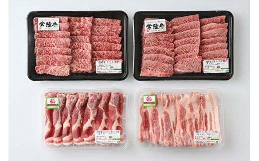 古河市産ローズポーク＆常陸牛『焼肉セット』〈茨城県共通返礼品〉 |  肉 牛肉 豚肉 国産 茨城県 古河市 ブランド 冷凍  BBQ  焼肉 小分け 食べ比べ バラ 牛バラ 豚バラ カルビ ロース 牛モモロース 肩ロース 豚肩ロース 食べくらべ  食べ比べ バラ セット 詰め合わせ  バラエティギフト 贈答 贈り物 お中元 お歳暮 プレゼント 茨城県 古河市 直送 産地直送 送料無料 _AD10