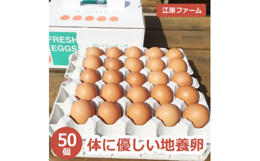 江原ファーム　体に優しい地養卵 ５０個 割れ補償 | 卵 50個 赤玉 玉子 たまご タマゴ 生卵 鶏卵 生みたて 産みたて 地養卵 新鮮 濃厚 健康 TKG たまごかけごはん ご飯のお供 国産 ギフト 贈答 贈り物 お中元 お歳暮 プレゼント 茨城県 古河市 直送 農家直送 産地直送 _AG04