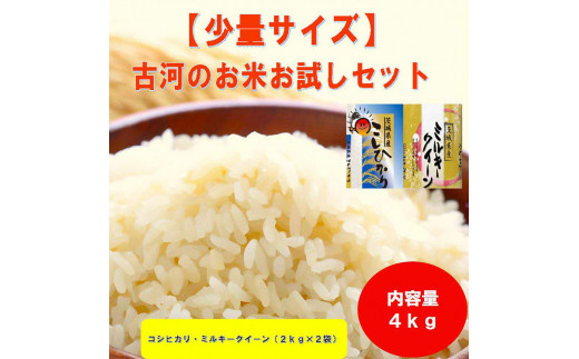 【新米】古河のお米お試しセット（コシヒカリ・ミルキークイーン各2kg） | 米 こめ コメ 4キロ 精米 食べ比べ 食べくらべ こしひかり コシヒカリ ミルキークイーン みるきーくいーん 古河市産 茨城県産 贈答 贈り物 プレゼント 茨城県 古河市 直送 農家直送 産地直送 送料無料 着日指定可 着日指定OK ※2025年9月中旬頃より順次発送予定 _DP13