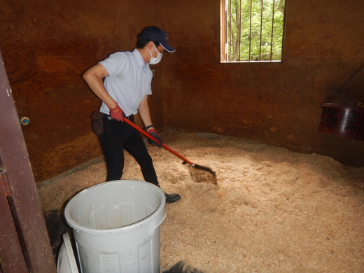 ポニーお世話体験＆オリジナルグッズ作り 1名分 | ネーブルパーク ポニー 厩務体験 体験 公園 子供 子ども 休日 夏休み 冬休み GW 贈り物 プレゼント 茨城県 古河市 送料無料 着日指定可 _DP96