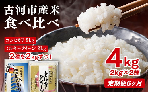 【定期便 6か月】令和7年産 古河市のお米食べ比べ コシヒカリ・ミルキークイーン 2kg×2種類｜米 コメ こめ ごはん ご飯 ゴハン 白飯 単一米 国産 コシヒカリ こしひかり ミルキークイーン 食べ比べ 2kg×2 4kg 定期便 6ヶ月 6回 茨城県 古河市_DP50
