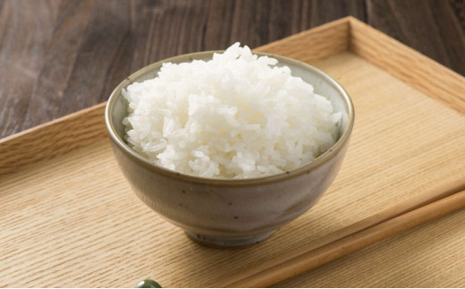 ã什å7幎ç£ãèšåçç£ã³ã·ãã«ãª20kgïŒ10kgÃ2è¢ïŒç²Ÿç±³JAèšåãã€ã¿ | ç±³ ãã ã³ã¡ 20ãã 粟米 ããã²ãã ã³ã·ãã«ãª èšåçç£ èŽç èŽãç© ãã¬ãŒã³ã èšåç 倿²³åž JA 蟲å çŽé ç£å°çŽé éæç¡æ _CL06 â»2025幎10æäžæ¬é ããé æ¬¡çºéäºå®