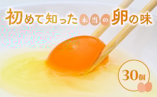 小久保ファーム　濃厚卵黄　産みたてたまご　赤玉30個入り（M玉） | 卵 玉子 たまご タマゴ 30個 赤玉 生卵 鶏卵 生みたて 産みたて 新鮮 濃厚 健康 TKG たまごかけごはん ご飯のお供 国産 ギフト 贈答 贈り物 お中元 お歳暮 プレゼント 茨城県 古河市 直送 農家直送 産地直送 送料無料 _EI01