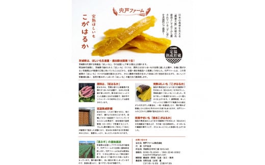 【先行受付】期間限定 完熟ほしいも こがはるか 計1kg（200g×5袋）｜ 茨城県産紅はるか 干し芋 ほしいも さつまいも 紅はるか おやつ スイーツ 国産 ギフト 贈答 贈り物 プレゼント 茨城県 古河市 直送 農家直送 産地直送 ※離島への配送不可 ※2025年12月中旬頃より順次発送予定 _CM02