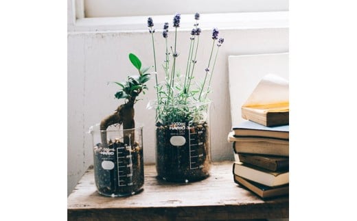 HARIO ビーカー 500ml [BK-500] | 耐熱 ガラス HARIO ハリオ 食器 器 キッチン 日用品 キッチン用品 日本製 おしゃれ かわいい コーヒー サーバー 花瓶 フラワーベース 軽量カップ 電子レンジ可 ビーカー _FU47　※離島への配送不可