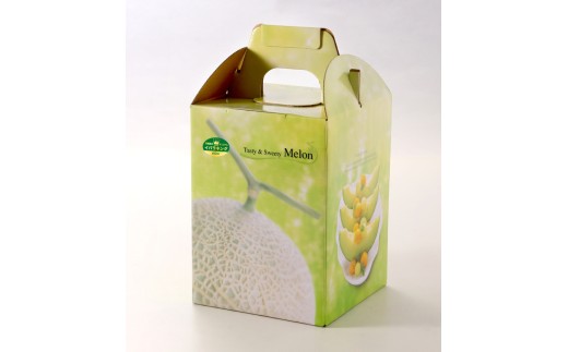 【先行予約】イバラキング メロン 1玉｜メロン ブランド 果物 フルーツ 坂東太郎 期間限定 季節物 高級 美味しい 甘い 緑色 茨城県 古河市_CB23 ※北海道・沖縄・離島への配送不可 ※2026年7月上旬頃より順次発送予定