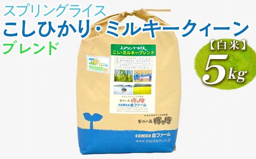 スプリングライス こしひかり・ミルキークィーン ブレンド (白米)5kg ※着日指定不可 | 米 こめ コメ 5キロ 精米 白米  ブレンド米 こしひかり コシヒカリ ミルキークイーン みるきーくいーん もちもち 古河市産 茨城県産 取り寄せ お取り寄せ ギフト 贈答 贈り物 プレゼント お中元 お歳暮 茨城県 古河市 直送 農家直送 産地直送 送料無料_BI27