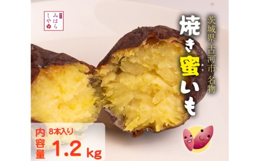 【スイーツのような甘さ】焼き蜜いも（1.2kg） _DP12 | スイーツ 芋 いも イモ やきいも さつまいも サツマイモ おやつ お菓子 菓子 健康 食物繊維 野菜 やさい 甘い ねっとり しっとり 冷凍 紅和み 長期保存 蜜 茨城県産 茨城県 古河市 温め 冷やし 着日指定可