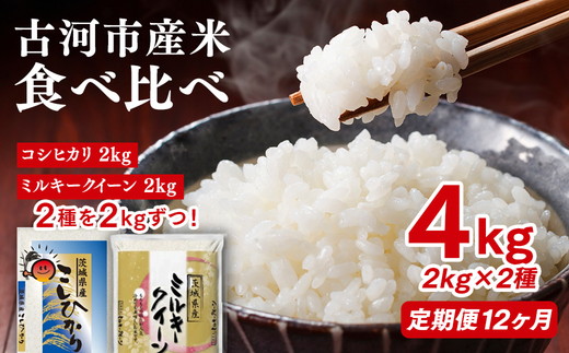 【定期便 12か月】令和7年産 古河市のお米食べ比べ コシヒカリ・ミルキークイーン 2kg×2種類｜米 コメ こめ ごはん ご飯 ゴハン 白飯 単一米 国産 コシヒカリ こしひかり ミルキークイーン 食べ比べ 2kg×2 4kg 定期便 12ヶ月 12回 1年 茨城県_DP51