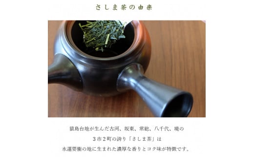 さしま茶ペットボトル１ケース（350ml 24本入り） | お茶 ペットボトル 350ml×24本 茶 緑茶 日本茶 猿島茶 さしま茶 飲み物 ドリンク 日常 まとめ 箱 ケース ギフト  贈答 贈り物 プレゼント お中元 お歳暮　 茨城県 古河市 送料無料 _CD01