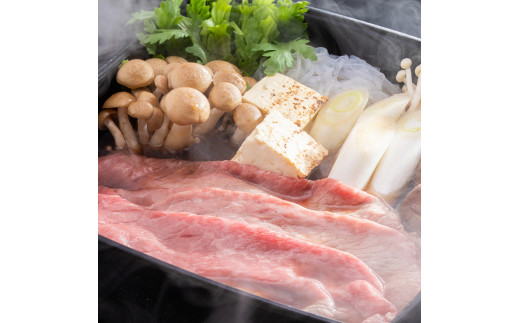 古河市で育った常陸牛！赤身（モモ・カタ）すきやき用700g | 肉 牛肉 700グラム 国産 茨城県 常陸牛 ブランド 冷凍 すきやき すき焼き しゃぶしゃぶ 食べ比べ 食べくらべ モモ カタ セット商品 詰め合わせ バラエティ 高級 贅沢 ギフト 贈答 贈答用 プレゼント 送料無料_AO03 ※離島への配送不可