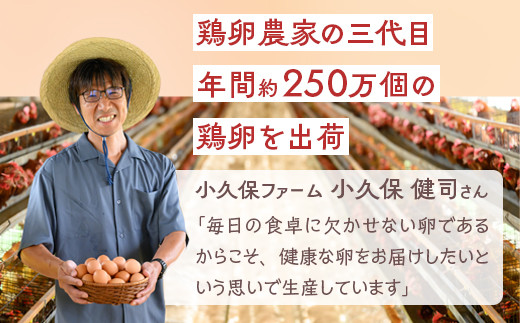 小久保ファーム　濃厚卵黄　産みたてたまご　赤玉30個入り（M玉） | 卵 玉子 たまご タマゴ 30個 赤玉 生卵 鶏卵 生みたて 産みたて 新鮮 濃厚 健康 TKG たまごかけごはん ご飯のお供 国産 ギフト 贈答 贈り物 お中元 お歳暮 プレゼント 茨城県 古河市 直送 農家直送 産地直送 送料無料 _EI01