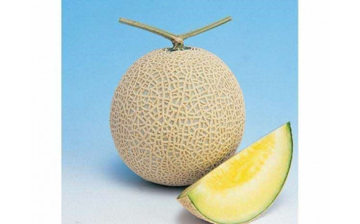 アールス系メロン”雅”(みやび) 1玉 | メロン めろん 果物 フルーツ 旬 坂東太郎 あまい 甘い 人気 取り寄せ お取り寄せ ギフト 贈答 贈り物 プレゼント お中元 お歳暮 直送 工場直送 茨城県 古河市 送料無料 ※2025年7月上旬頃より順次発送予定 ※北海道・沖縄・離島への配送不可 _CB04