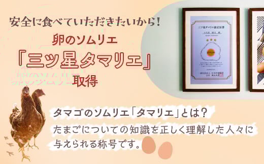 小久保ファーム　濃厚卵黄　産みたてたまご　赤玉50個入り（M玉）|  卵 50個 赤玉 玉子 たまご タマゴ 生卵 鶏卵 生みたて 産みたて 新鮮 濃厚 健康 TKG たまごかけごはん ご飯のお供 国産 ギフト 贈答 贈り物 お中元 お歳暮 プレゼント 茨城県 古河市 直送 農家直送 産地直送 送料無料 _EI02
