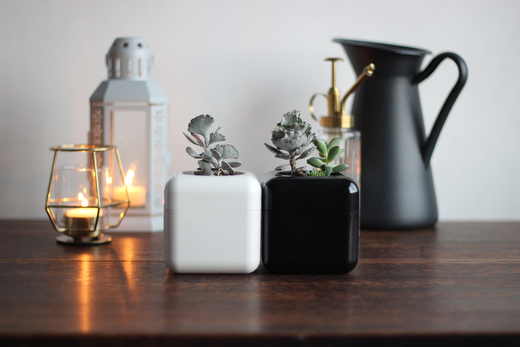 æ ¹è
ã鲿¢ïŒå€èæ€ç©å°çšã®å®€å
çšæ€æšé¢ããµããã³ããŠã¹(R)ã ãããããã¥ãŒã忀æšé¢ æ¥çšå èŽçå ãã¬ãŒã³ã ã®ãã _GD01 _GD02