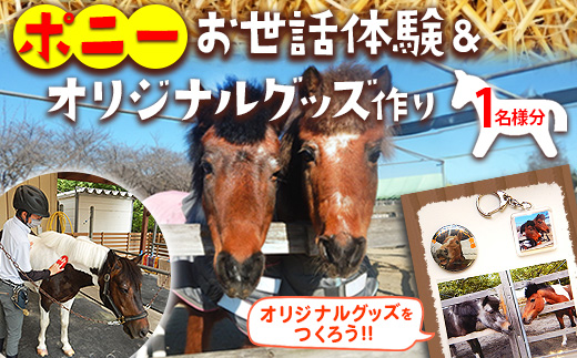 ポニーお世話体験＆オリジナルグッズ作り 1名分 | ネーブルパーク ポニー 厩務体験 体験 公園 子供 子ども 休日 夏休み 冬休み GW 贈り物 プレゼント 茨城県 古河市 送料無料 着日指定可 _DP96