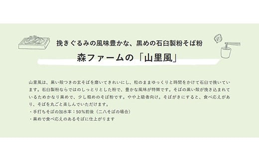 石臼製粉 常陸秋そば 山里風（挽きぐるみ）そば粉 1kg | そば粉 ソバ粉 蕎麦粉 そば ソバ 蕎麦 常陸そば 常陸秋そば 石臼製粉 取り寄せ お取り寄せ ギフト 贈答 贈り物 プレゼント 茨城県 古河市 直送 農家直送 産地直送 送料無料 _BI86