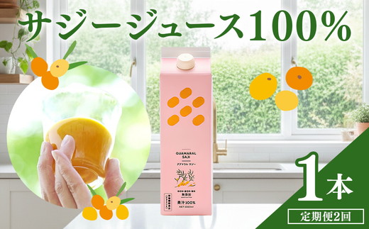 【定期便2カ月】サジー グアマラルサジー 1000ml　毎月1本2カ月コース｜サジージュース サジー シーベリー 沙棘 グアマラル 健康ドリンク 健康 美容 栄養 果汁 鉄分補給 栄養補給 健康食品 ギフト 贈答 贈り物 プレゼント お祝 ご褒美 記念日 記念品 お中元 お歳暮 _DX18
