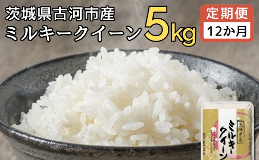【定期便 12か月】【新米】令和7年産 古河市産ミルキークイーン 5kg | 米 こめ コメ 5キロ 定期便 精米 みるきーくいーん ミルキー 単一米 国産 古河市産 茨城県産 贈答 贈り物 プレゼント 茨城県 古河市 直送 農家直送 産地直送 送料無料_DP39