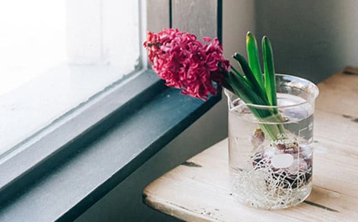 HARIO ビーカー 500ml [BK-500] | 耐熱 ガラス HARIO ハリオ 食器 器 キッチン 日用品 キッチン用品 日本製 おしゃれ かわいい コーヒー サーバー 花瓶 フラワーベース 軽量カップ 電子レンジ可 ビーカー _FU47　※離島への配送不可