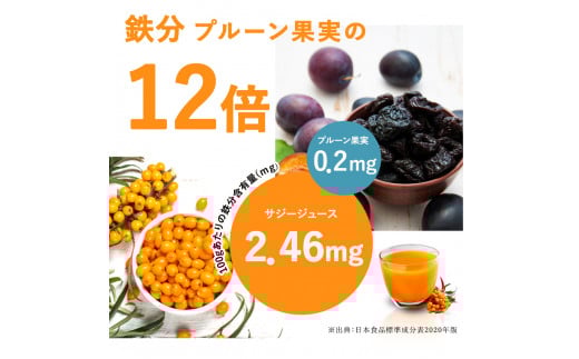 【定期便2カ月】サジー グアマラルサジー 1000ml　毎月1本2カ月コース｜サジージュース サジー シーベリー 沙棘 グアマラル 健康ドリンク 健康 美容 栄養 果汁 鉄分補給 栄養補給 健康食品 ギフト 贈答 贈り物 プレゼント お祝 ご褒美 記念日 記念品 お中元 お歳暮 _DX18