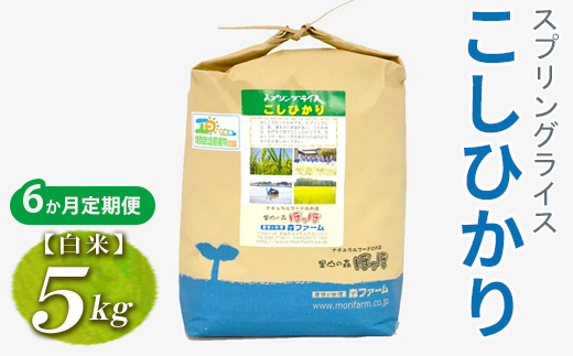 【定期便6か月】令和7年産 6か月毎月届く！スプリングライス こしひかり (白米) 5kg | 定期便 こめ 米 コメ 白米 白飯 精米 コシヒカリ 茨城県産 国産 茨城県 古河市 こだわり おいしい 2025年産 _FN16