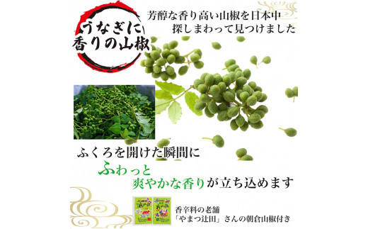 うなぎ蒲焼2人前（1人前約160g×2）贈答用パッケージ｜うなぎ 鰻 ウナギ 320グラム 国産 かば焼き 蒲焼き 蒲焼 うな重 ひつまぶし たれ 山椒 人気 おすすめ 取り寄せ お取り寄せ グルメ 惣菜 ギフト 贈答 贈り物 プレゼント お中元 お歳暮 御歳暮 茨城県 古河市 直送 店舗直送 送料無料 _AT02