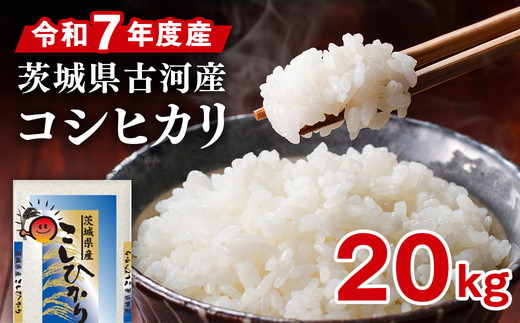 令和7年産 古河市産 コシヒカリ 20kg（5kg×4袋）| 米 こめ コメ 20キロ 精米 こしひかり 単一米 国産 古河市産 茨城県産 贈答 贈り物 プレゼント 茨城県 古河市 直送 農家直送 産地直送 着日指定可 ギフト お祝 ご褒美 取り寄せ お取り寄せ 記念品 景品 ※2025年9月上旬頃より順次発送予定 _DP24