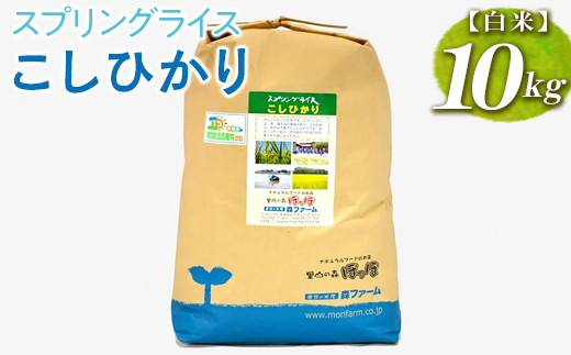 スプリングライス こしひかり (白米)10kg ※着日指定不可 | 米 こめ コメ 10キロ 精米 白米 こしひかり コシヒカリ 古河市産 茨城県産 取り寄せ お取り寄せ ギフト 贈答 贈り物 プレゼント お中元 お歳暮 茨城県 古河市 直送 農家直送 産地直送 送料無料 _BI26