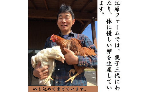 ãå®æäŸ¿12ãæãæ±åãã¡ãŒã ãäœã«åªããå°é€åµïŒ30åïŒ | åµ å®æäŸ¿ 30å çå ããŸã ã¿ã㎠çåµ é¶åµ çã¿ã㊠ç£ã¿ã㊠å°é€åµ æ°é®® æ¿å å¥åº· TKG ããŸããããã¯ã ã飯ã®ãäŸ åœç£ ã®ãã èŽç èŽãç© ãäžå
ãæ³æ® ãã¬ãŒã³ã èšåç 倿²³åž çŽé 蟲家çŽé ç£å°çŽé _AG15