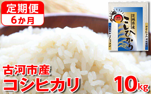 【定期便 6か月】令和7年産 古河市産コシヒカリ 10kg（5kg×2袋）｜米 コメ こめ ごはん ご飯 ゴハン 白飯 単一米 国産 コシヒカリ こしひかり 10kg 定期便 6ヶ月 6回 茨城県 古河市_DP44