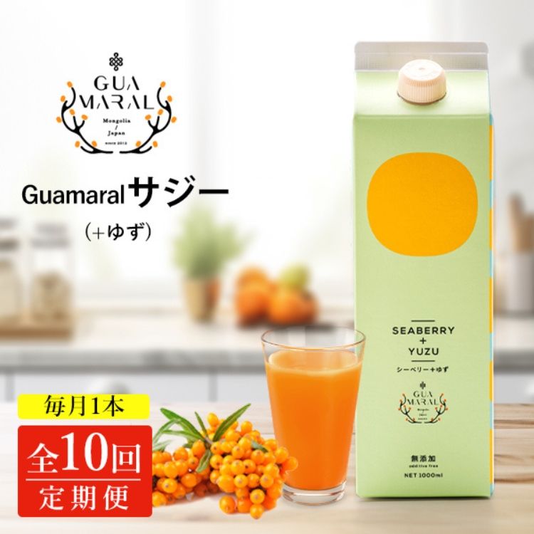 【定期便10カ月】サジー グアマラルサジー＋ゆず 1000ml　毎月1本10カ月コース｜サジージュース サジー 沙棘 グアマラル 健康ドリンク 健康 美容 栄養 果汁 鉄分補給 栄養補給 健康食品 _DX34