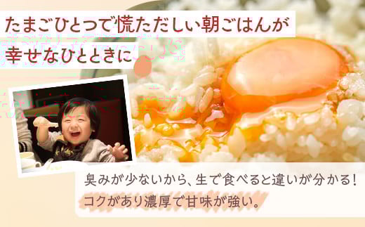 小久保ファーム　濃厚卵黄　産みたてたまご　赤玉50個入り（M玉）|  卵 50個 赤玉 玉子 たまご タマゴ 生卵 鶏卵 生みたて 産みたて 新鮮 濃厚 健康 TKG たまごかけごはん ご飯のお供 国産 ギフト 贈答 贈り物 お中元 お歳暮 プレゼント 茨城県 古河市 直送 農家直送 産地直送 送料無料 _EI02