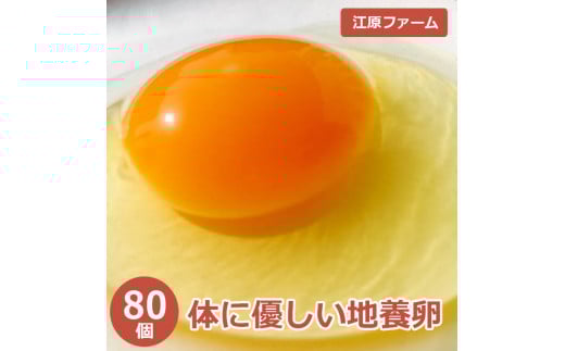江原ファーム　体に優しい地養卵 ８０個 割れ補償 | 卵 80個 赤玉 玉子 たまご タマゴ 生卵 鶏卵 生みたて 産みたて 地養卵 新鮮 濃厚 健康 TKG たまごかけごはん ご飯のお供 国産 ギフト 贈答 贈り物 お中元 お歳暮 プレゼント 直送 農家直送 産地直送 _AG05