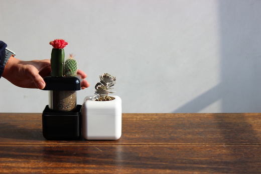 æ ¹è
ã鲿¢ïŒå€èæ€ç©å°çšã®å®€å
çšæ€æšé¢ããµããã³ããŠã¹(R)ã ãããããã¥ãŒã忀æšé¢ æ¥çšå èŽçå ãã¬ãŒã³ã ã®ãã _GD01 _GD02