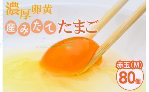 小久保ファーム　濃厚卵黄　産みたてたまご　赤玉80個入り（M玉）|  卵 80個 赤玉 玉子 たまご タマゴ 生卵 鶏卵 生みたて 産みたて 新鮮 濃厚 健康 TKG たまごかけごはん ご飯のお供 国産 ギフト 贈答 贈り物 お中元 お歳暮 プレゼント 茨城県 古河市 直送 農家直送 産地直送 送料無料 _EI03