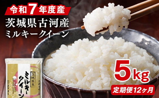 【定期便 12か月】令和7年産 古河市産ミルキークイーン 5kg | 米 こめ コメ 5キロ 定期便 精米 みるきーくいーん ミルキー 単一米 国産 古河市産 茨城県産 贈答 贈り物 プレゼント 茨城県 古河市 直送 農家直送 産地直送 送料無料_DP39