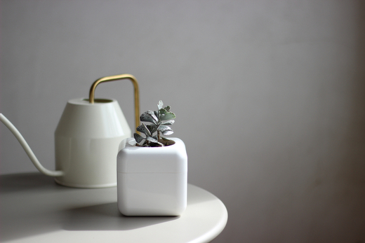 æ ¹è
ã鲿¢ïŒå€èæ€ç©å°çšã®å®€å
çšæ€æšé¢ããµããã³ããŠã¹(R)ã ãããããã¥ãŒã忀æšé¢ æ¥çšå èŽçå ãã¬ãŒã³ã ã®ãã _GD01 _GD02